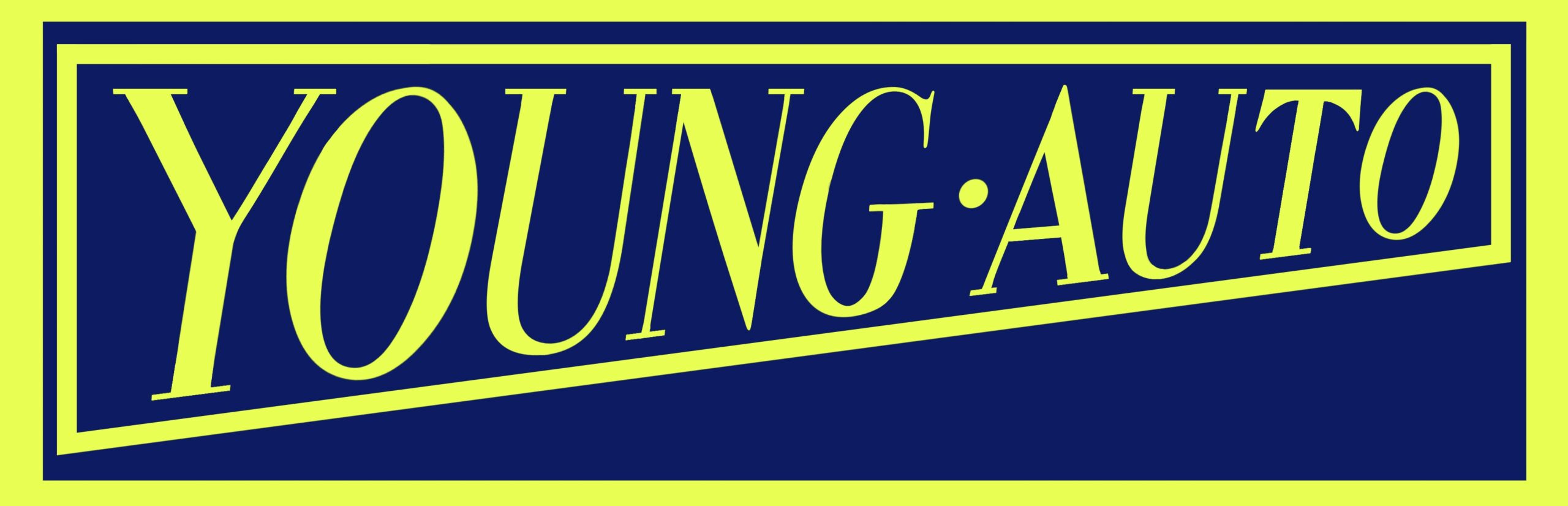 有限会社ヤングオート